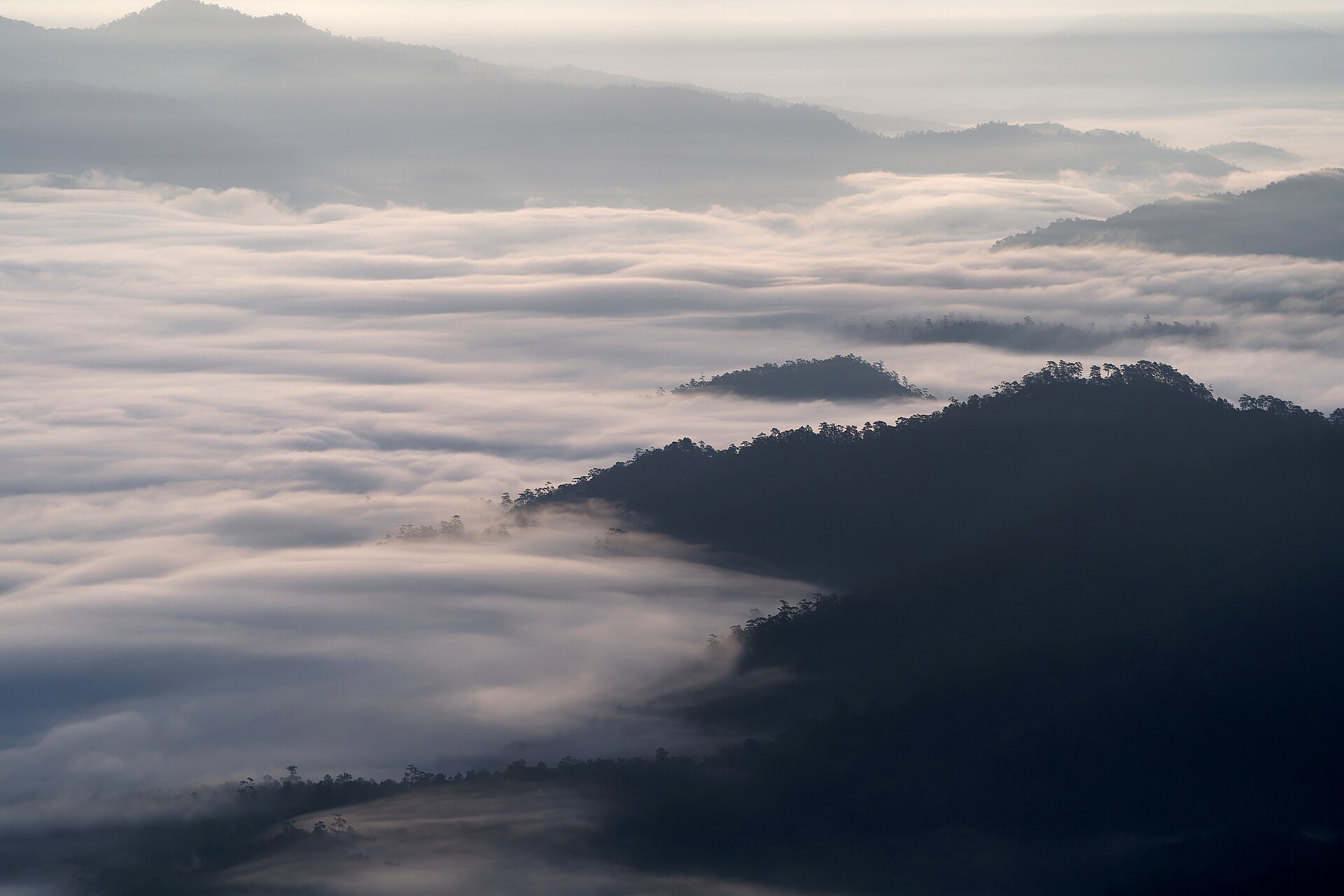 Breath of the Mountains