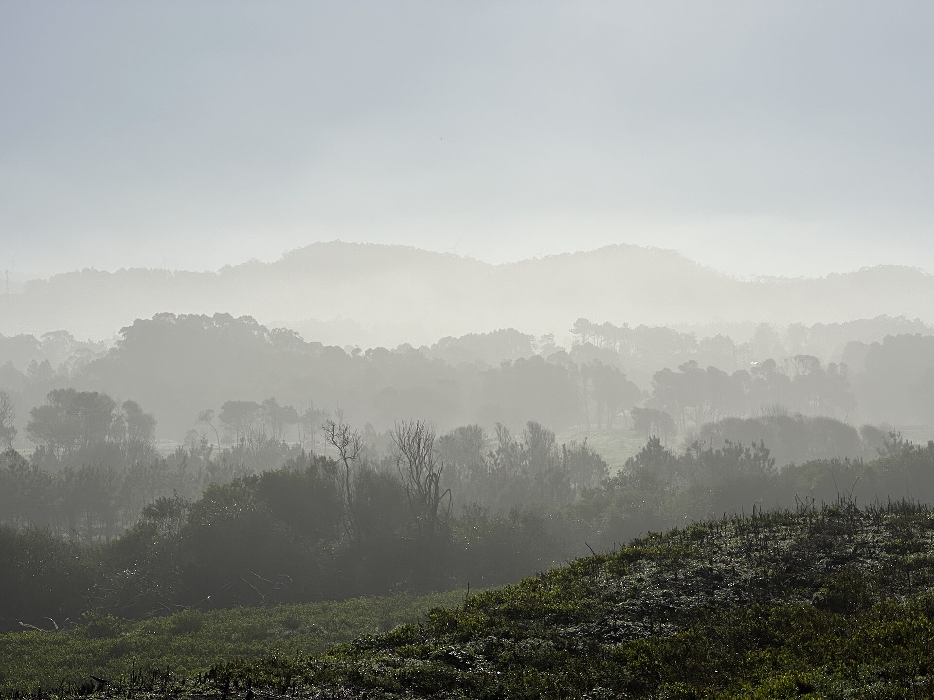 Misty morning in the mountains near the Atlantic Ocean coast, Rego, Vila Praia de Âncora, Viana do Castelo, Po
