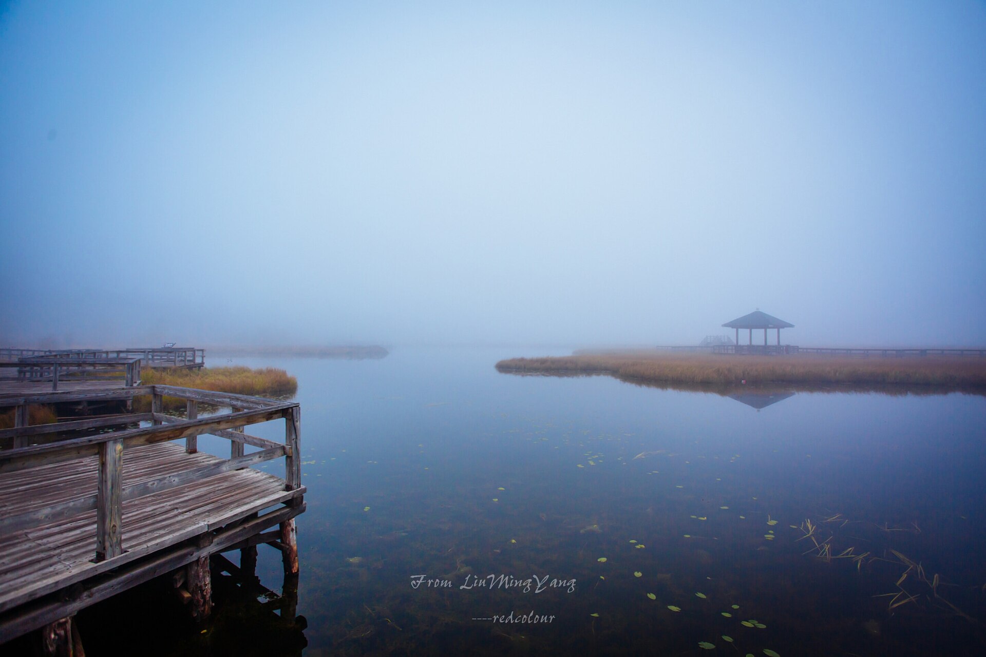 Early Morning Of Wetland