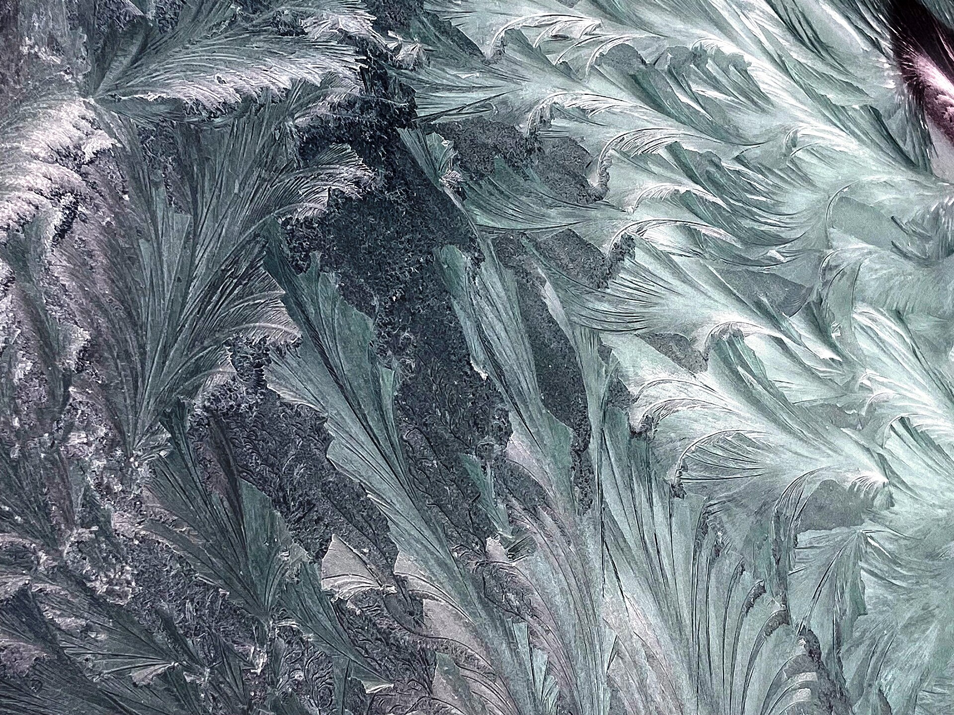 Eisblumen am Autofenster - Frost patterns on the car window