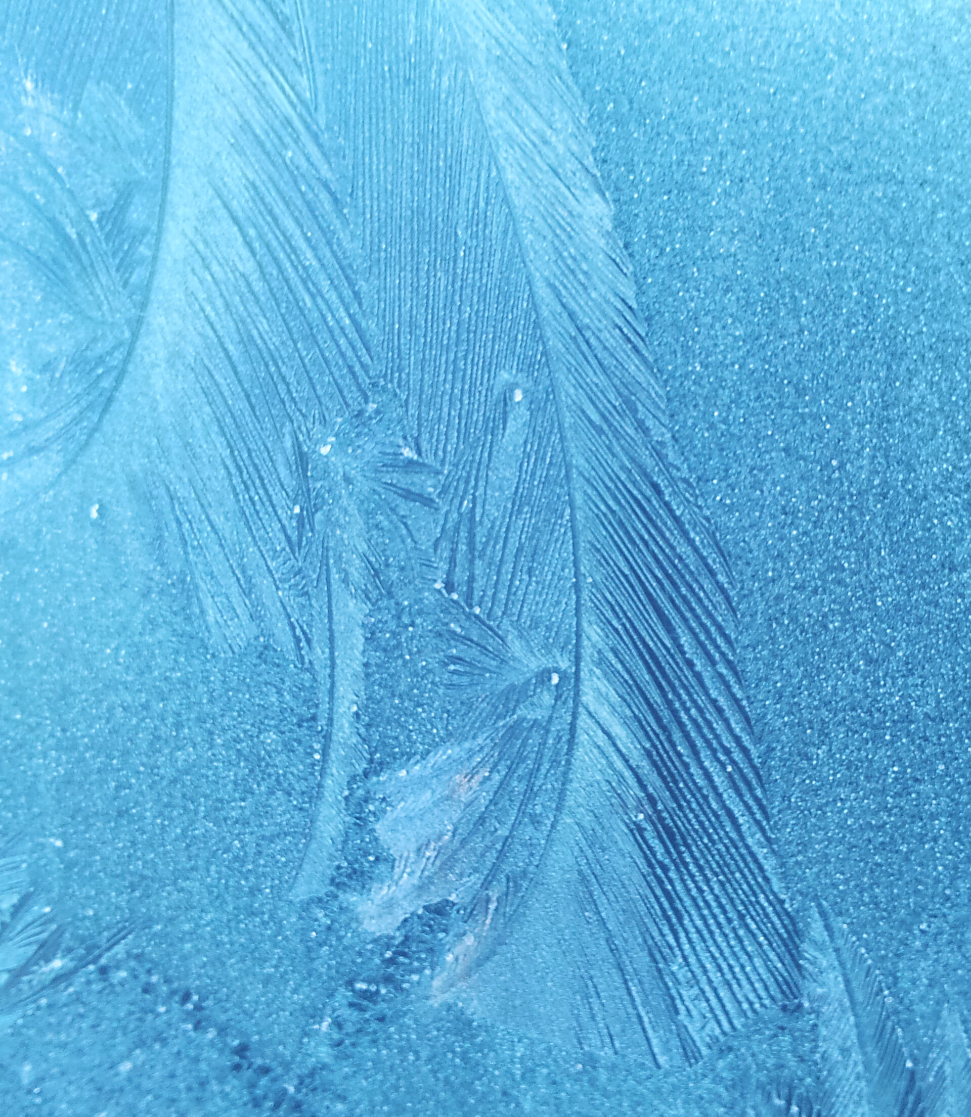 Frost-pattern 6
