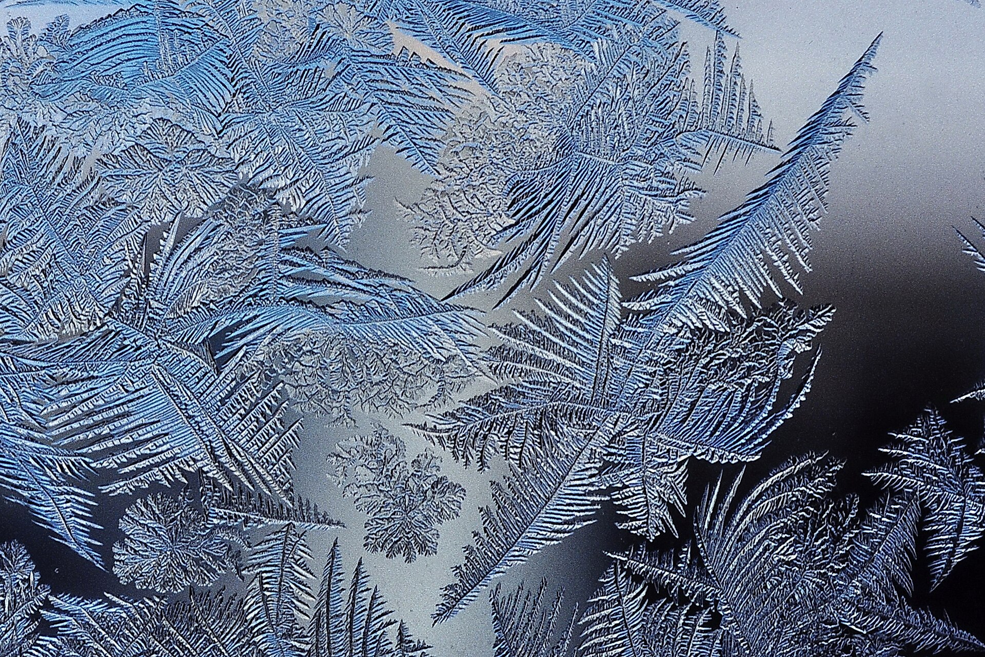 Frost patterns 2